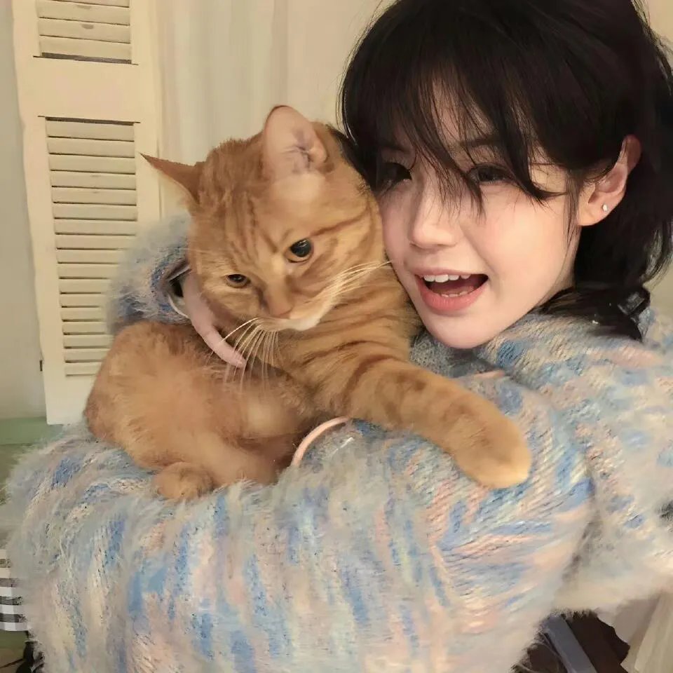 傅总娇妻你别逃